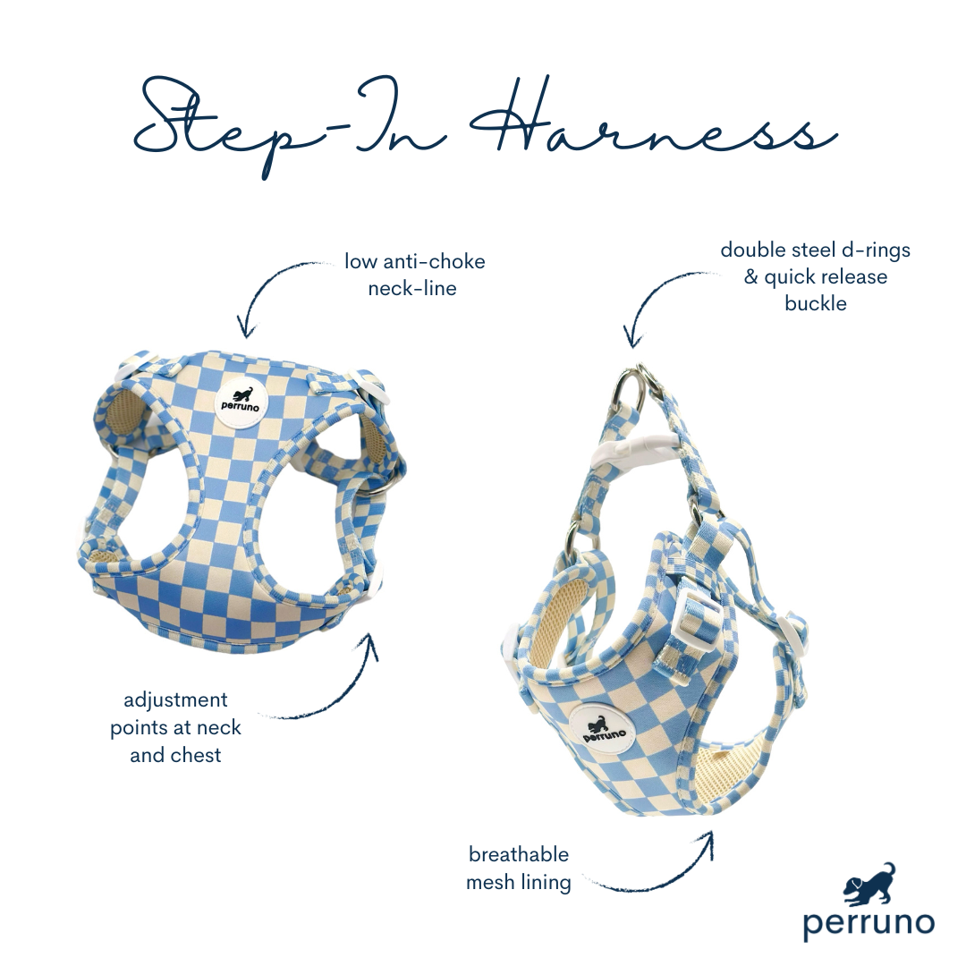 Harness & Leash Set - Baby Blue Checkers