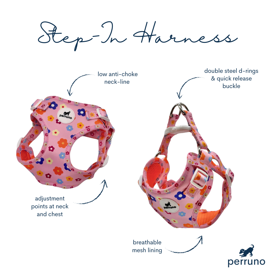 Harness & Leash Set - Flower Power