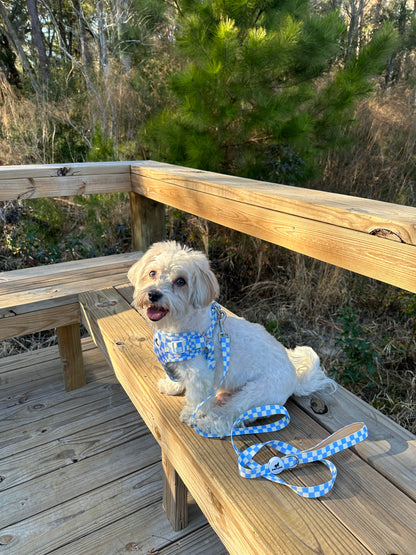 Harness & Leash Set - Baby Blue Checkers