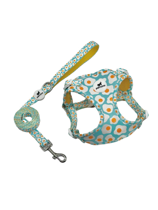 Harness & Leash Set - Sunny Side Up