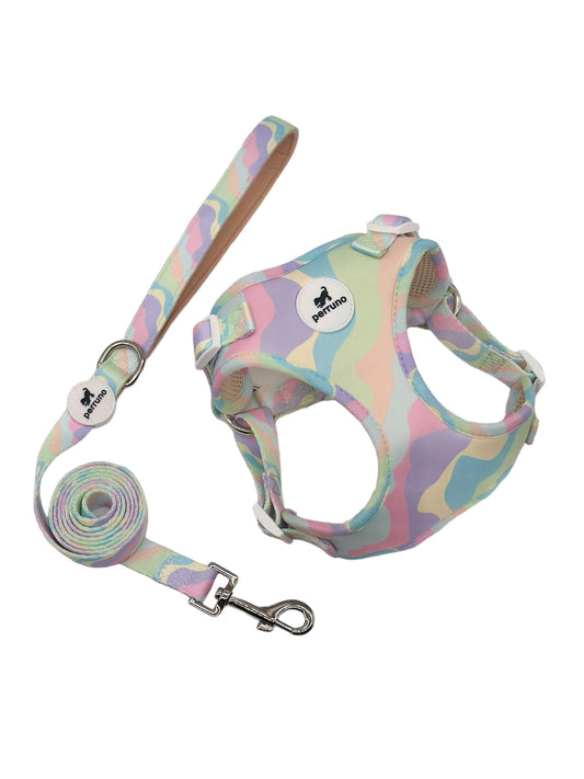 Harness & Leash Set - Pastel Swirl