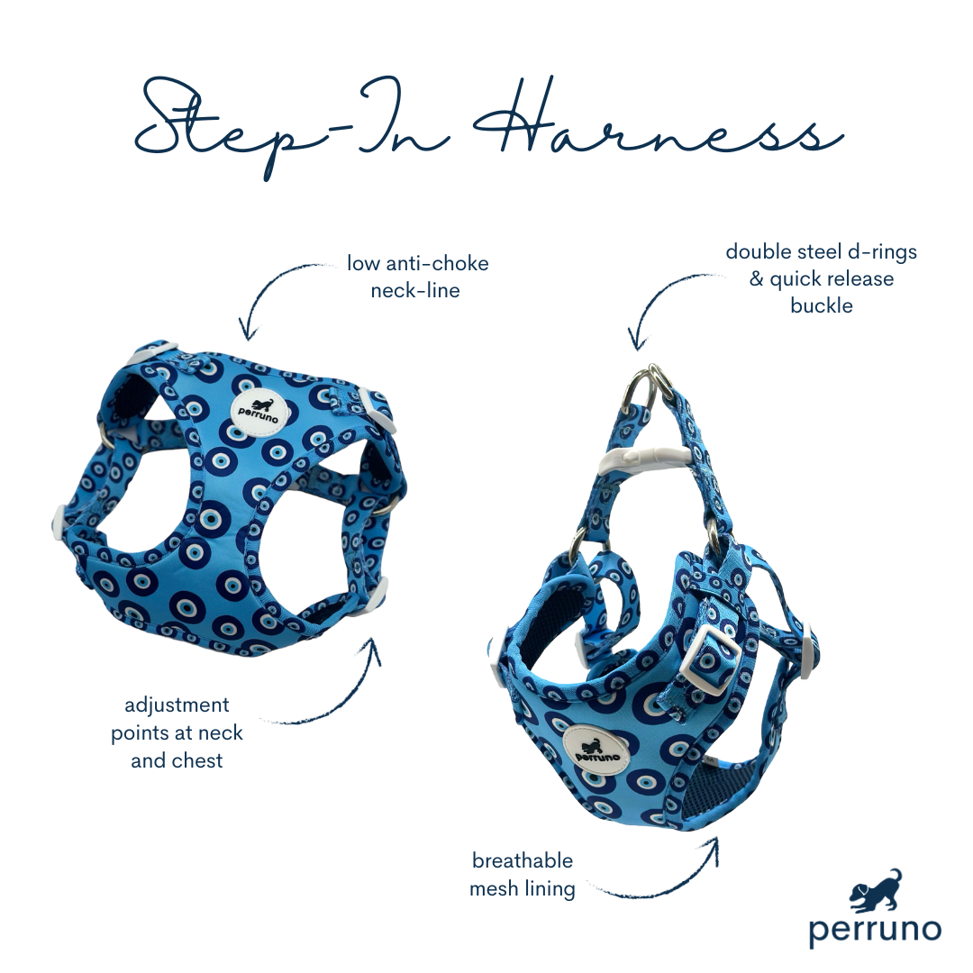 Harness & Leash Set - Evil Eye